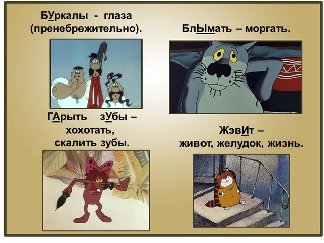 kolorit rechi 3