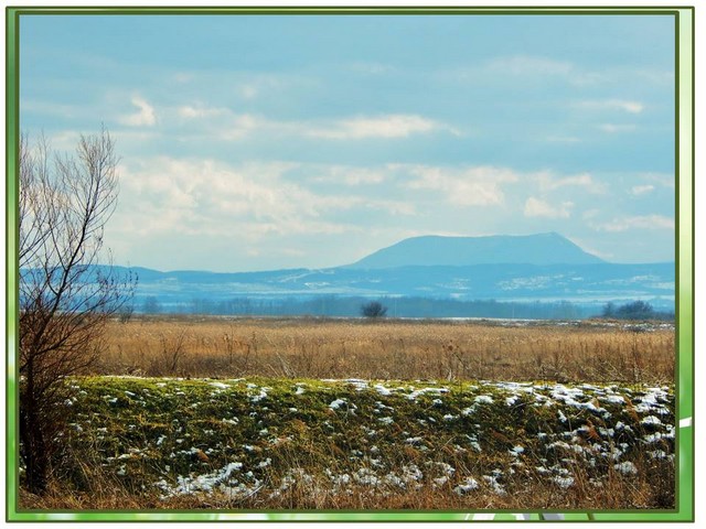 foto vistavka 10