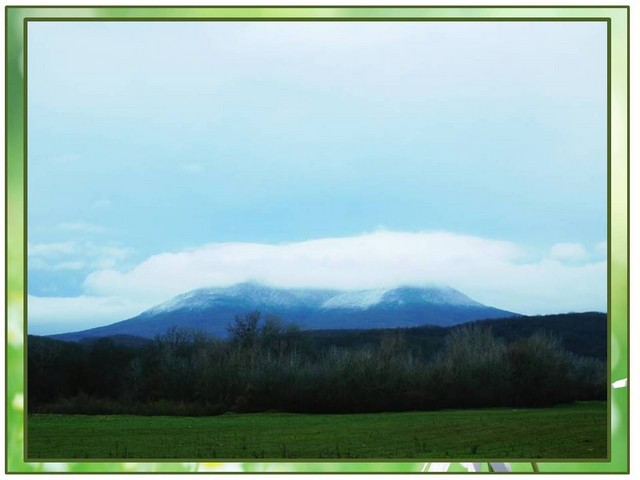 foto vistavka 2
