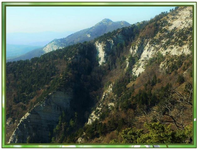 foto vistavka 4