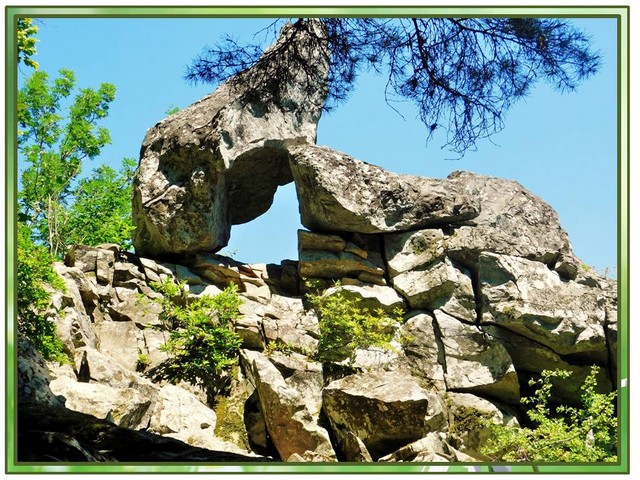 foto vistavka 5