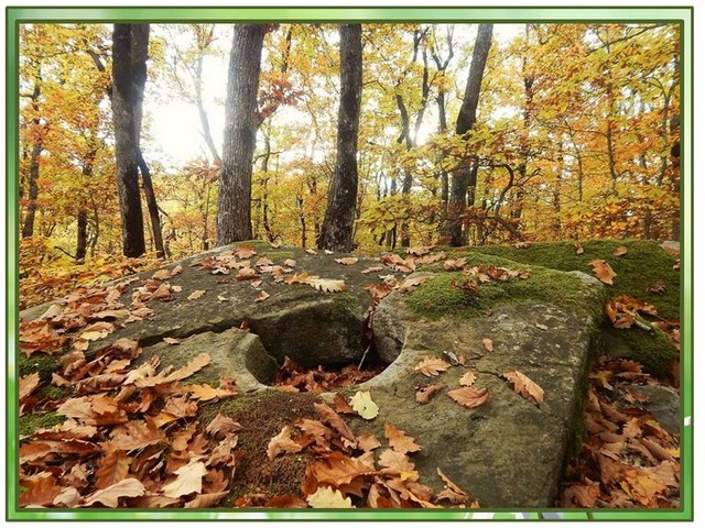 foto vistavka 9