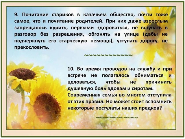 17 semya 6
