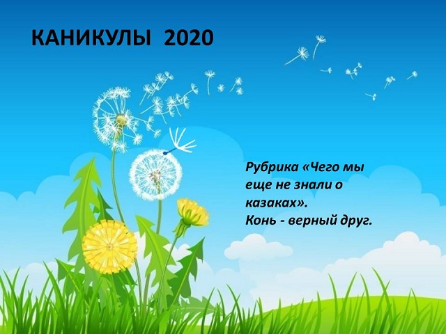 TF 2020 2 1