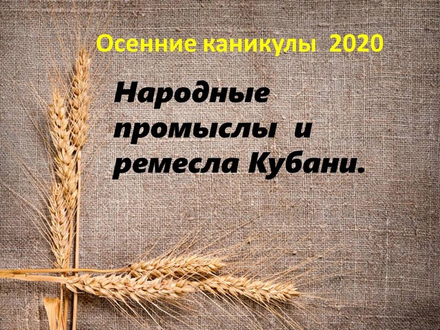 fh2020 11 1