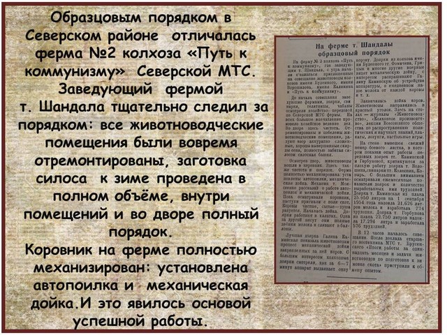 Nisdop56 4