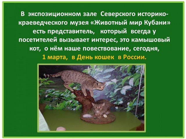 ru2021 1