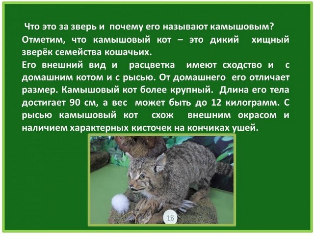 ru2021 2