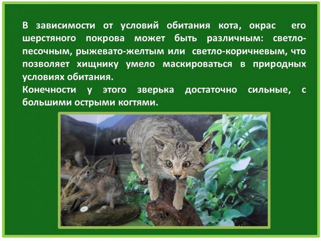 ru2021 3