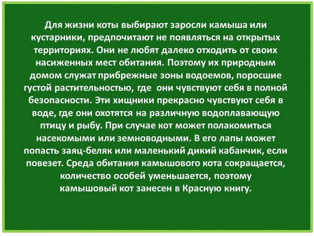 ru2021 4