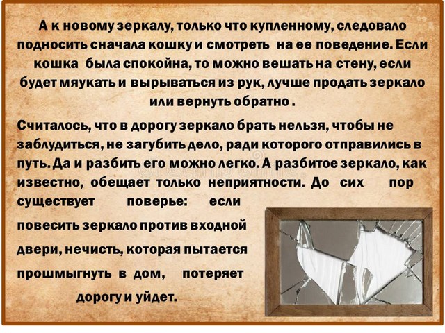 Foal2021 5