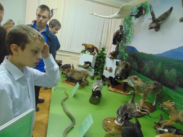 DSC00029