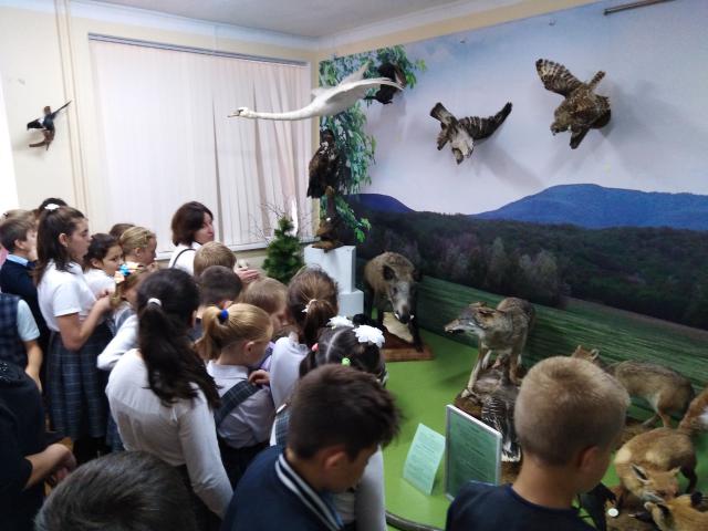 IMG 20191008 124637
